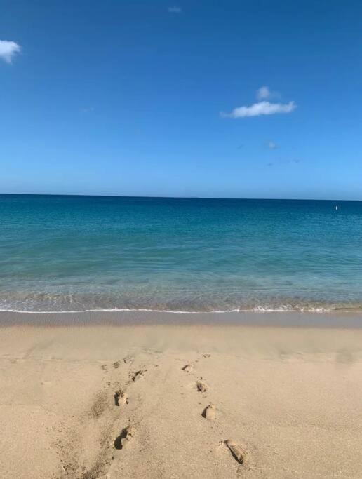 Casita 8 Minutes From Crashboat Beach 阿瓜迪亚 外观 照片